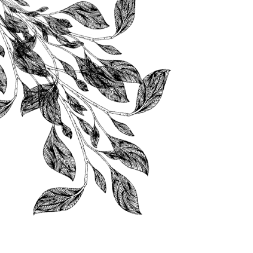 frame kiri atas